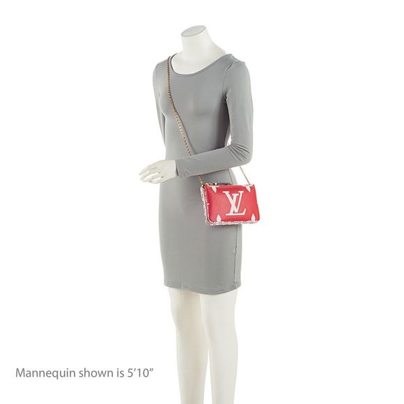 Louis Vuitton Giant Monogram Canvas Double Zip Pochette - Picture 5 of 15